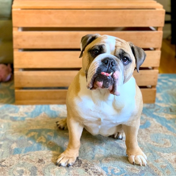 Must include a title!  ;) - Picture 2 of 2